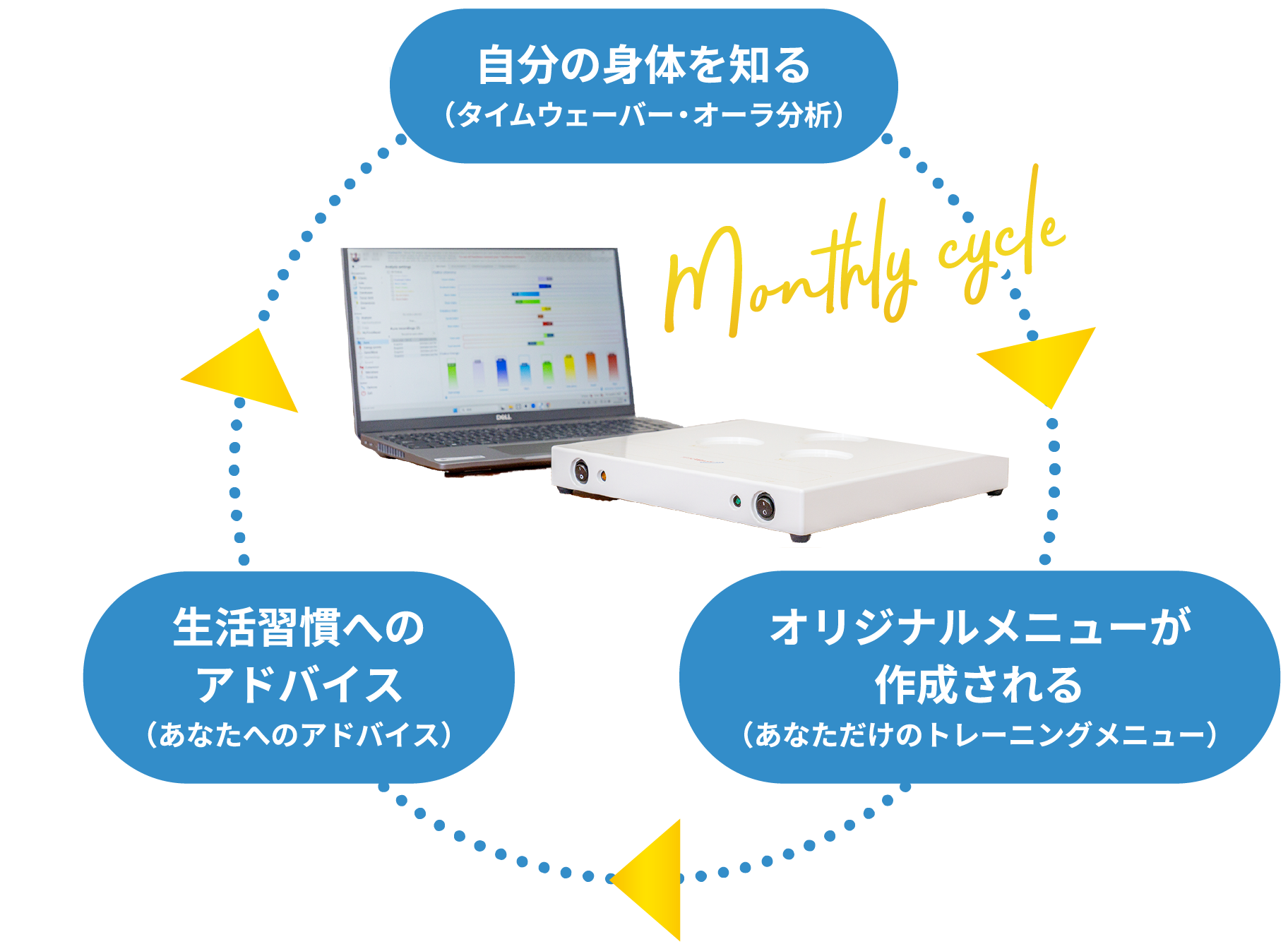INトレジムの特徴